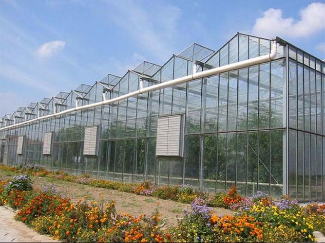 连栋温室大棚造价多少钱一平方