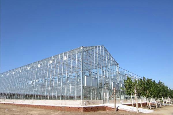 PC阳光板温室大棚