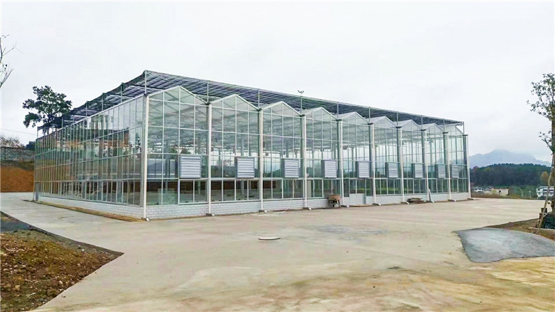 玻璃智能大棚