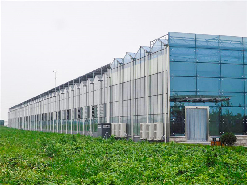 智慧农业玻璃大棚工程
