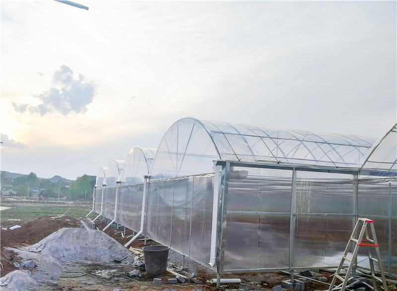 农业薄膜温室大棚