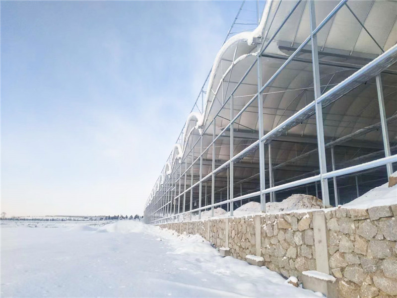 连栋蔬菜薄膜大棚